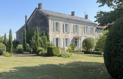 photo no. 19
