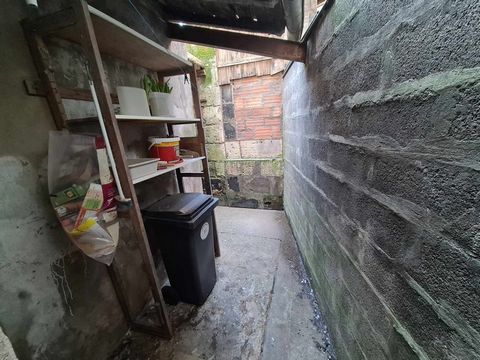 photo no. 14