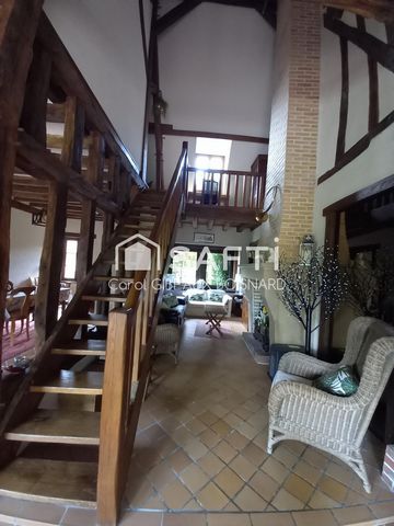 photo no. 8