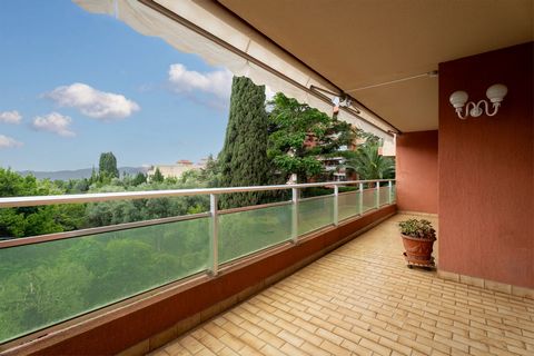 photo no. 12