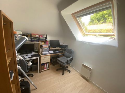 photo no. 7