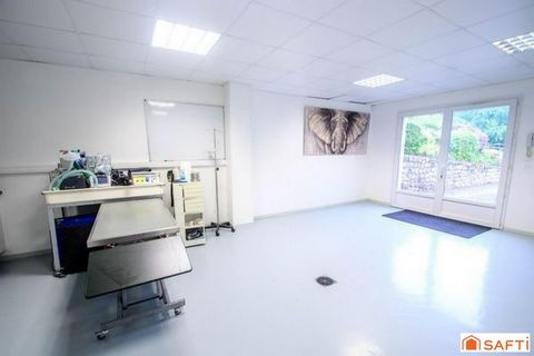 photo no. 18