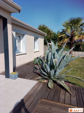 photo no. 16