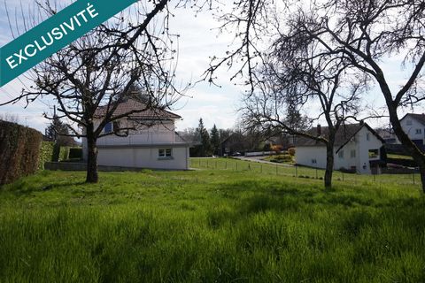 photo no. 12