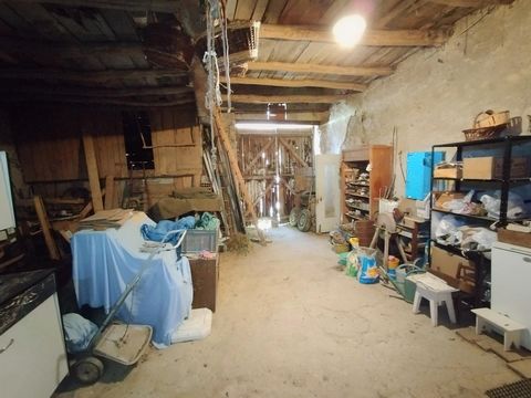 photo no. 9