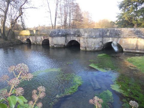 photo no. 8