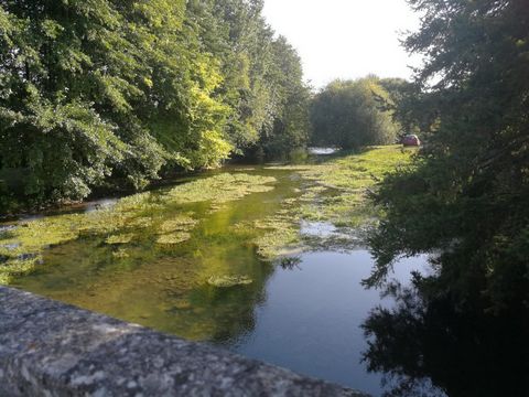 photo no. 17