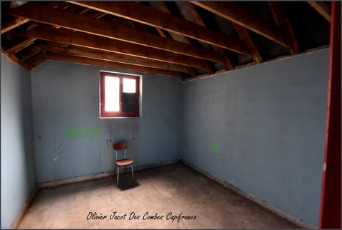 photo no. 2