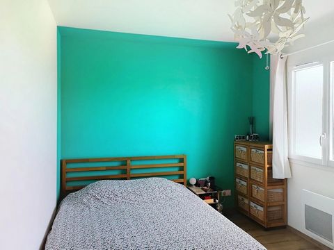 photo no. 8