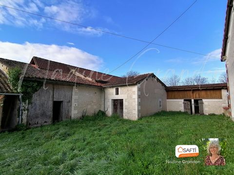 photo no. 12
