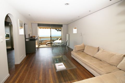 photo no. 6
