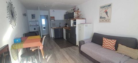 Appartement 35m2 au pied des pistes