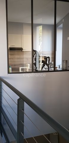 photo no. 2