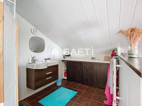 photo no. 11