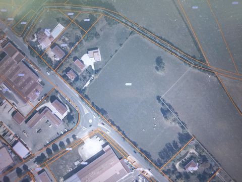photo no. 1