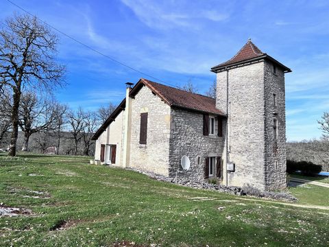 photo no. 19