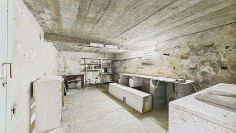 photo no. 16
