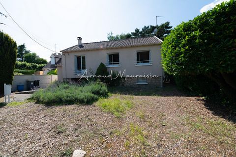 photo no. 8