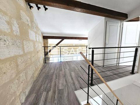 photo no. 6