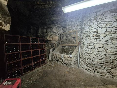 photo no. 9