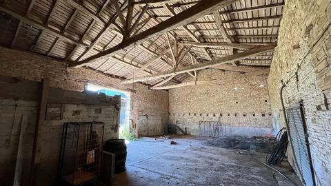 photo no. 14