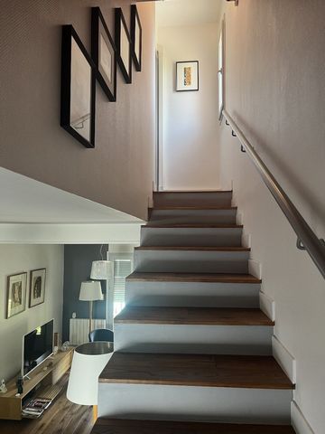 photo no. 11