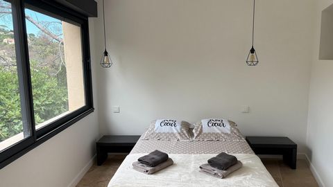 photo no. 3