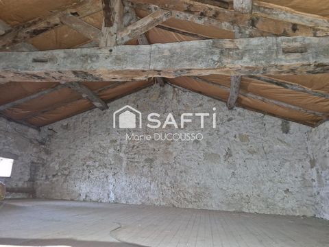 photo no. 10