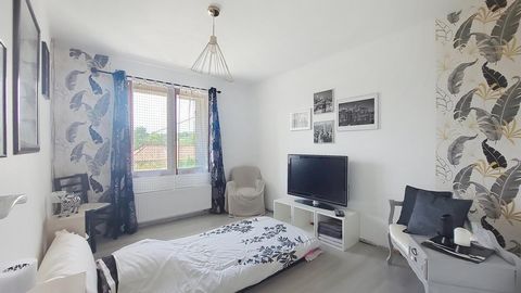 photo no. 10