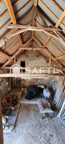 photo no. 10