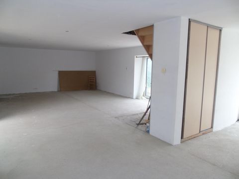 photo no. 2