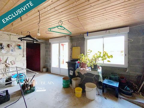 photo no. 8