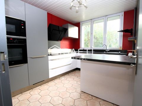 photo no. 2