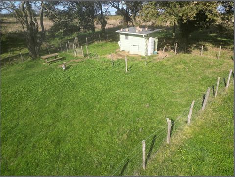 photo no. 9