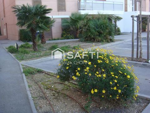 photo no. 4