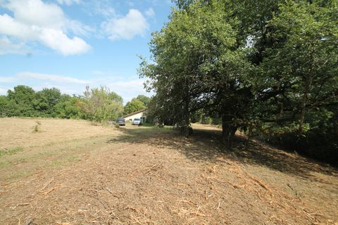 photo no. 2
