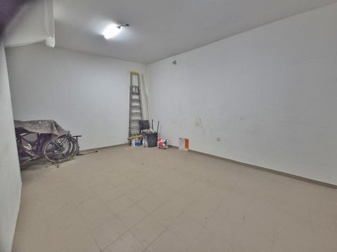 photo no. 14