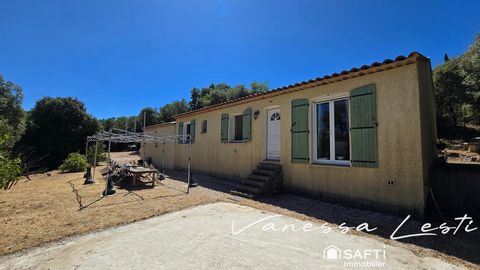 photo no. 10