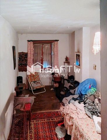 photo no. 9