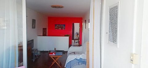 photo no. 2