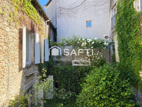 photo no. 17