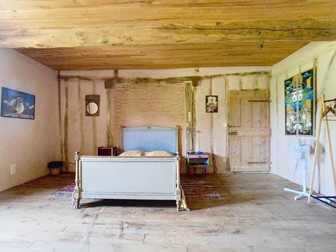 photo no. 13