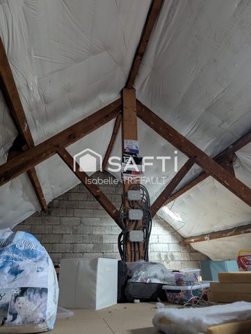 photo no. 11