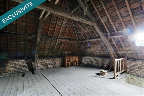 photo no. 14