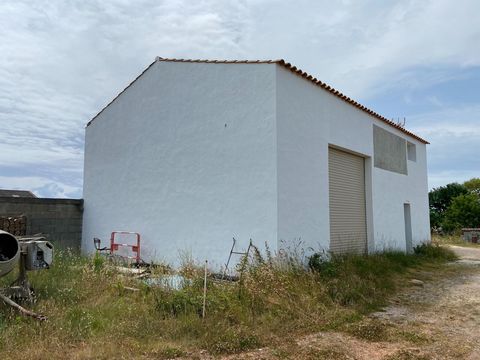 photo no. 2