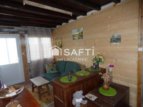 photo no. 11
