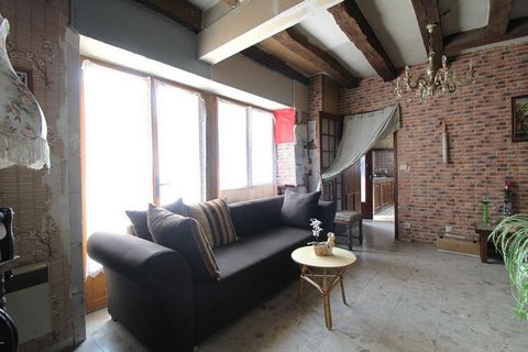 photo no. 8