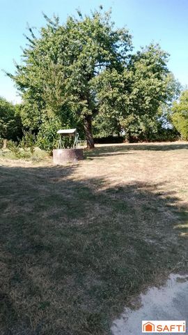 photo no. 3