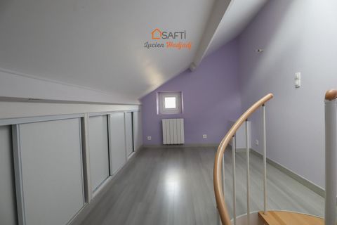 photo no. 8