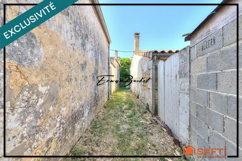 photo no. 14